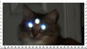 catboy